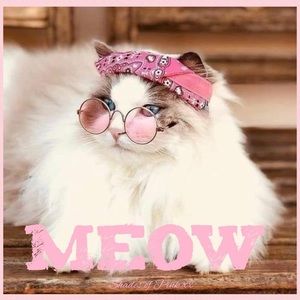 Meet your Posher, Mary lynn